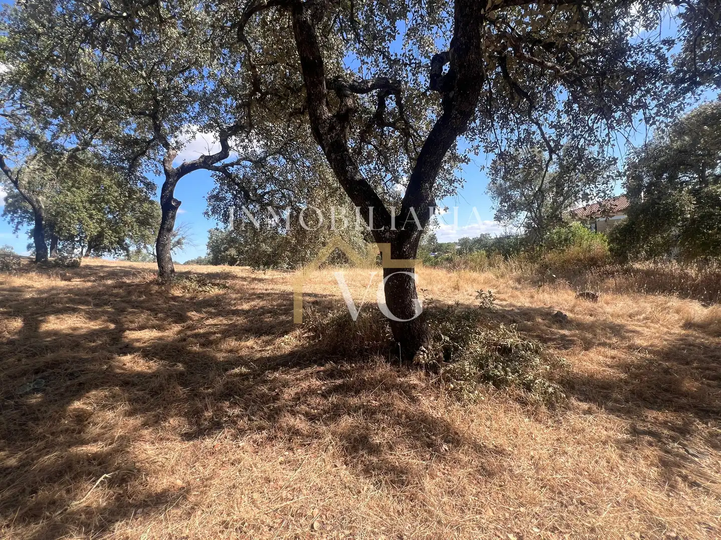 Residential land for sale in Los Lagos, imagen 7