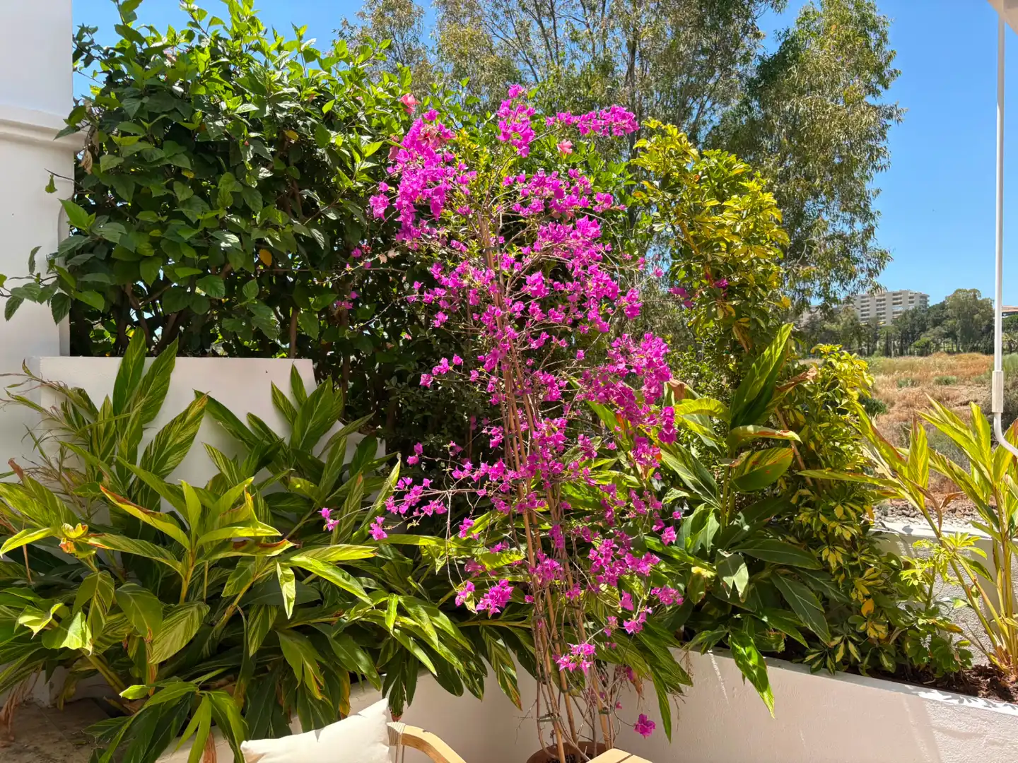 Reihenhaus mit Terrasse zur Miete in Calle Camino de Cortes 47, imagen 6