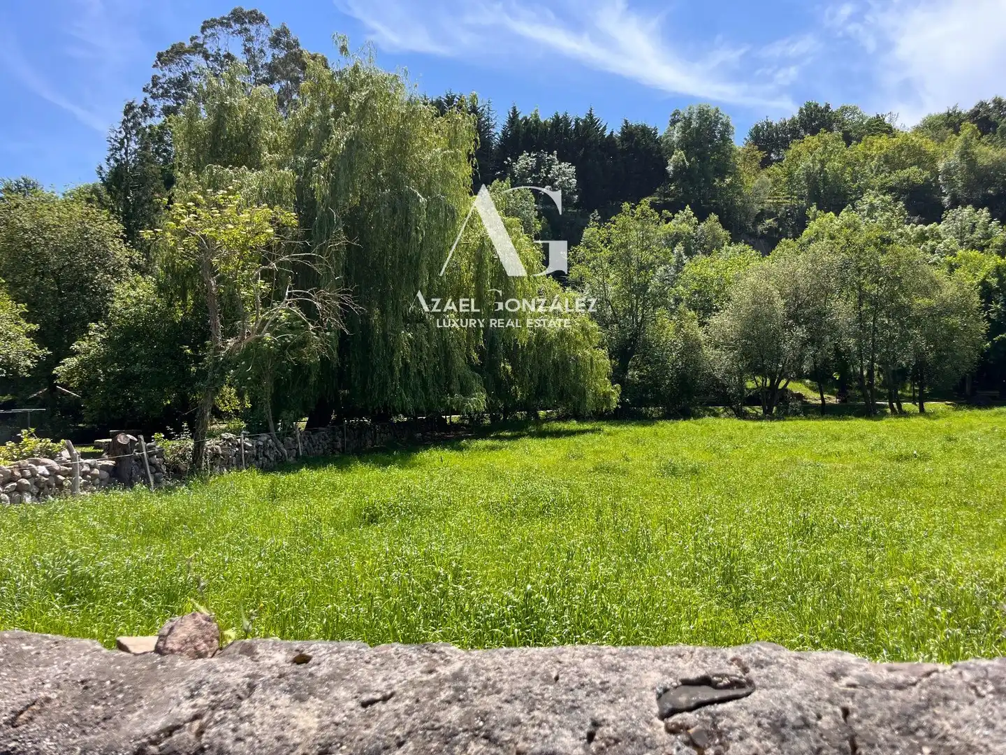 Land for sale in Ruente