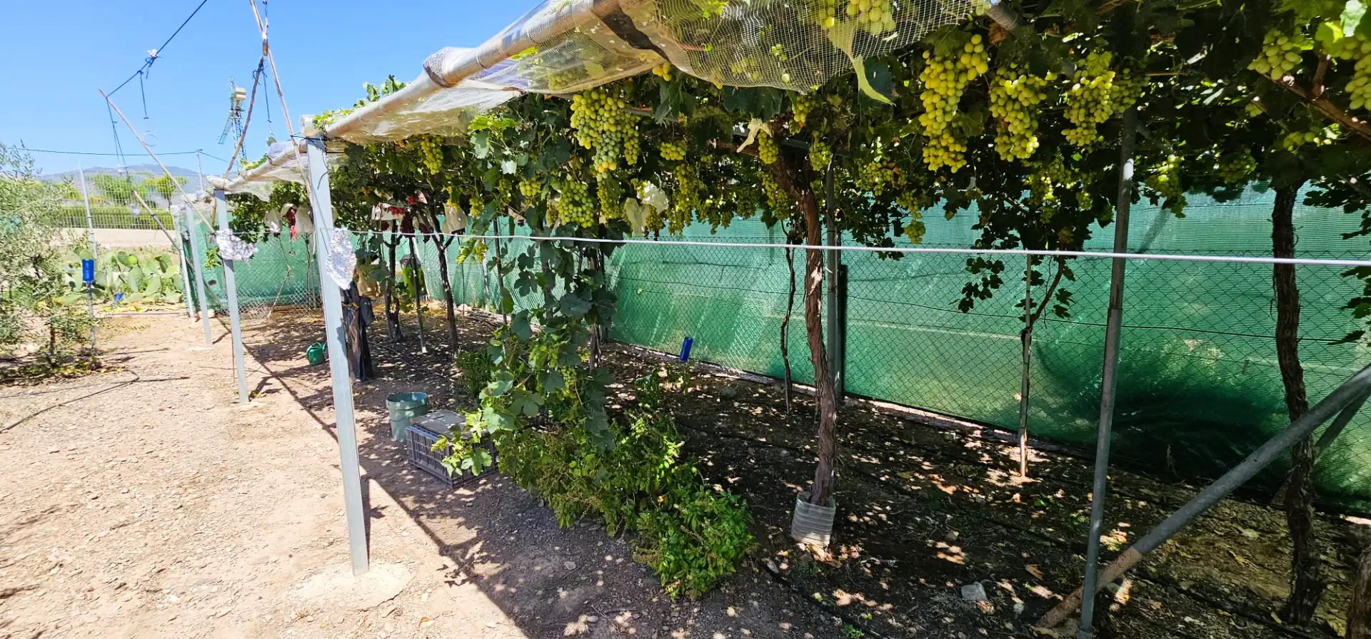 Jardín de Nave industrial en venta en Totana