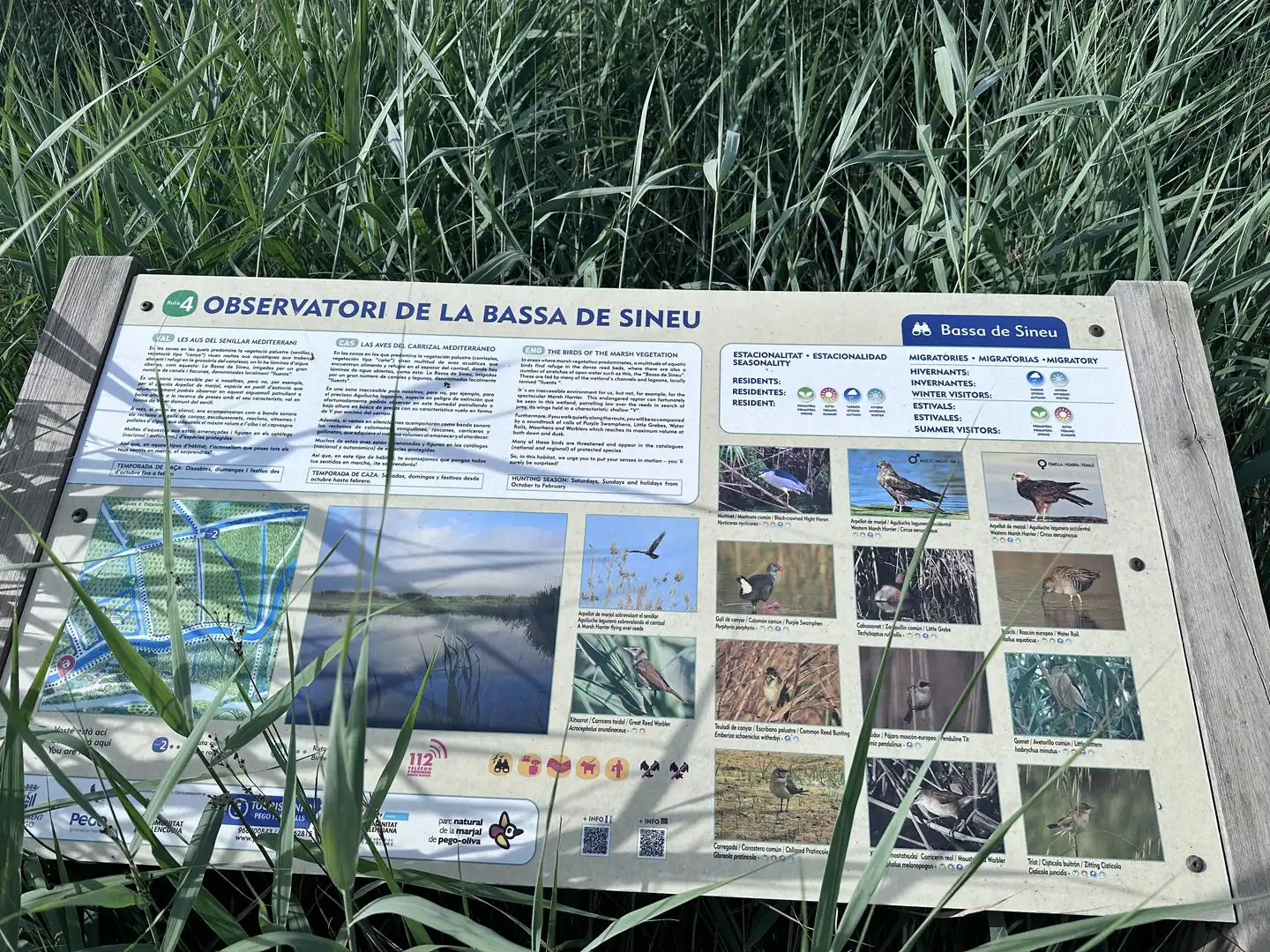 Terreno rustico in vendita a Pego, imagen 19