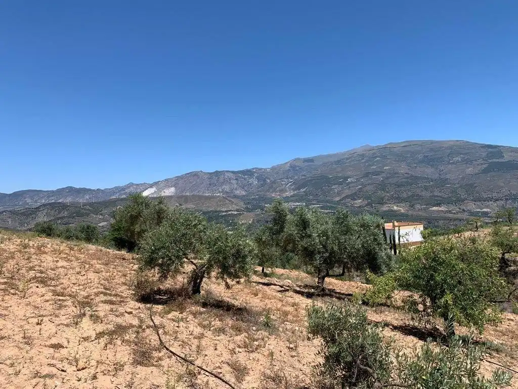 Terreno residencial en venta en Las Flores - Huerta, imagen 11