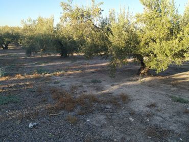 Terreno rustico in vendita a Poligono Sup