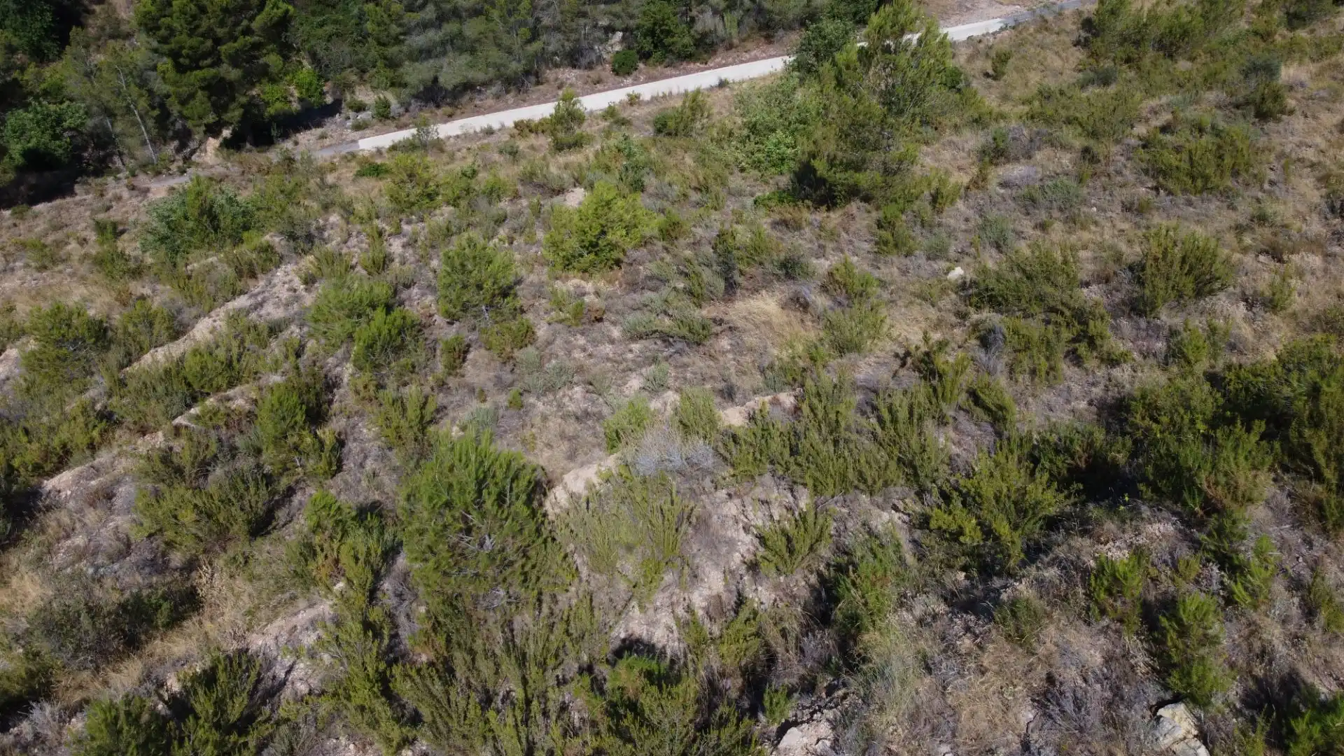 Terrenys i solars en venda a Callosa d'en Sarrià, imagen 10