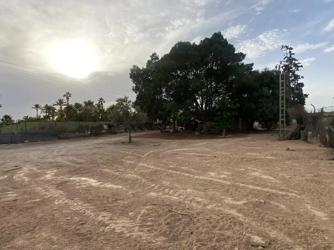 Casa o xalet en venda en Elche / Elx amb Calefacció, Jardí privat i Terrassa