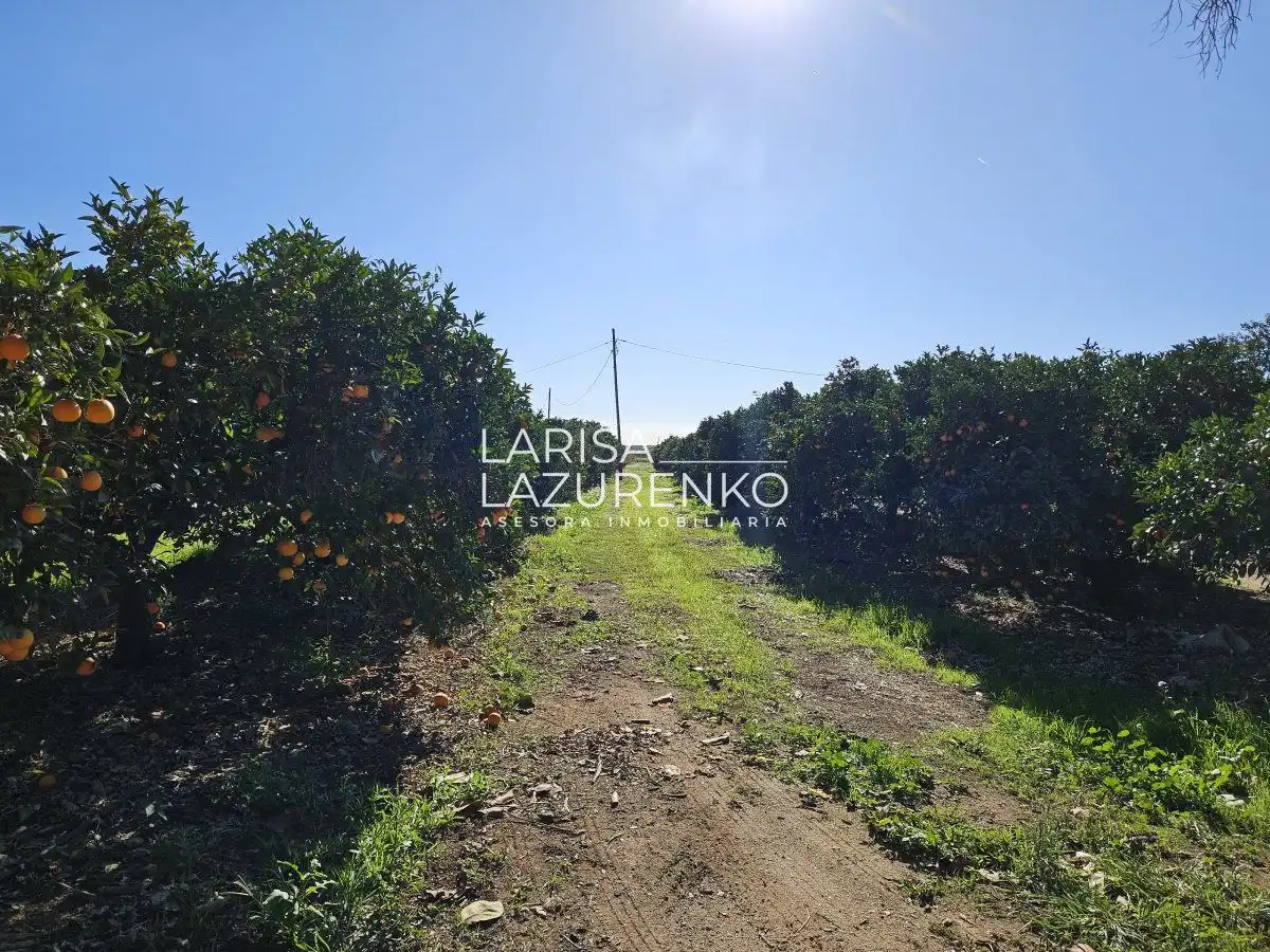 Finca rústica en venda en Vinyols i els Arcs