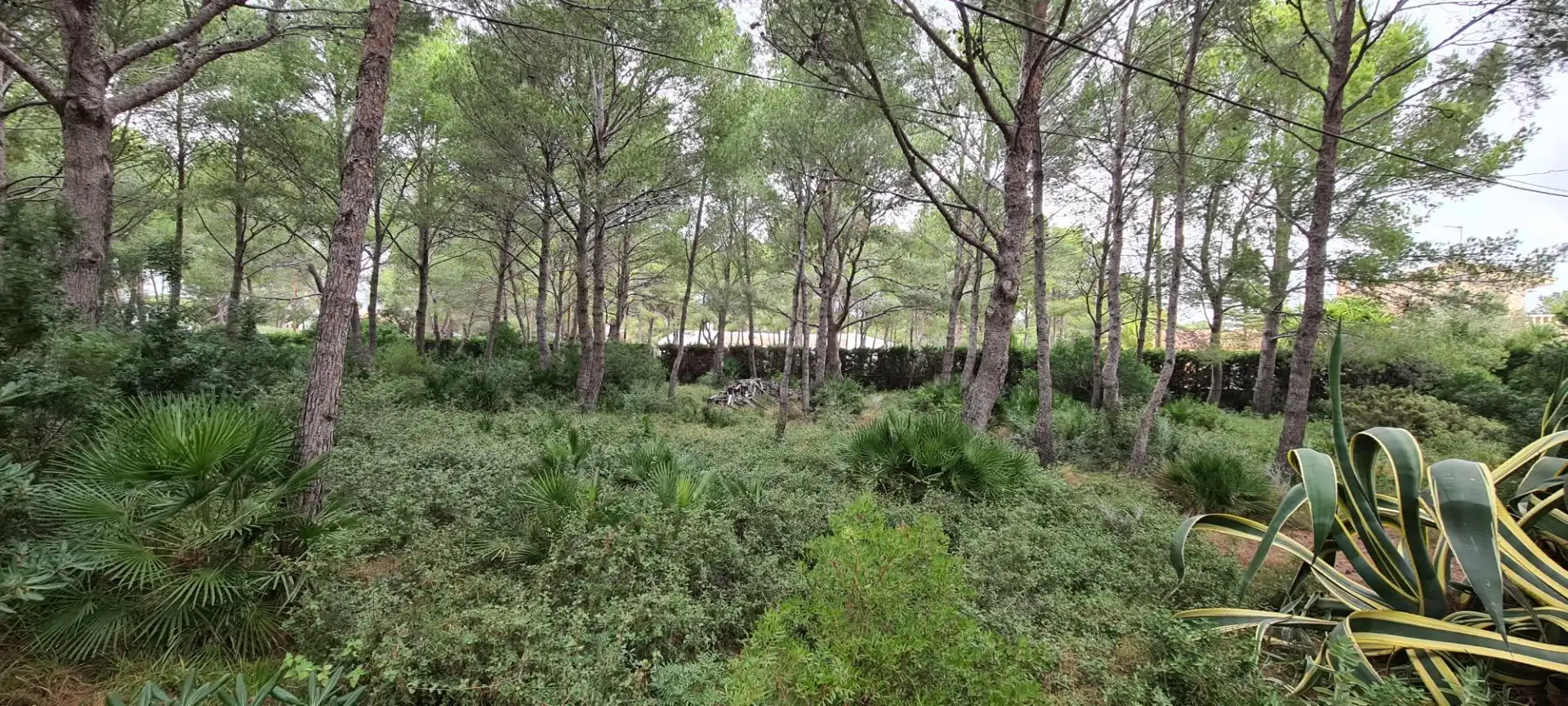 Casa o xalet en venda en L'Ametlla de Mar  amb Aire condicionat, Calefacció i Jardí privat