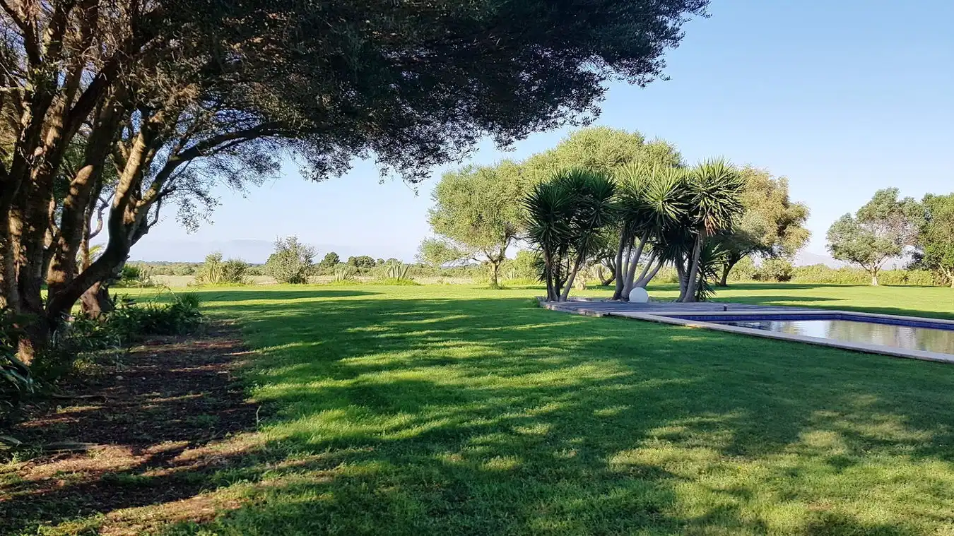 Casa rústica con piscina en venta en Felanitx Poble, imagen 3