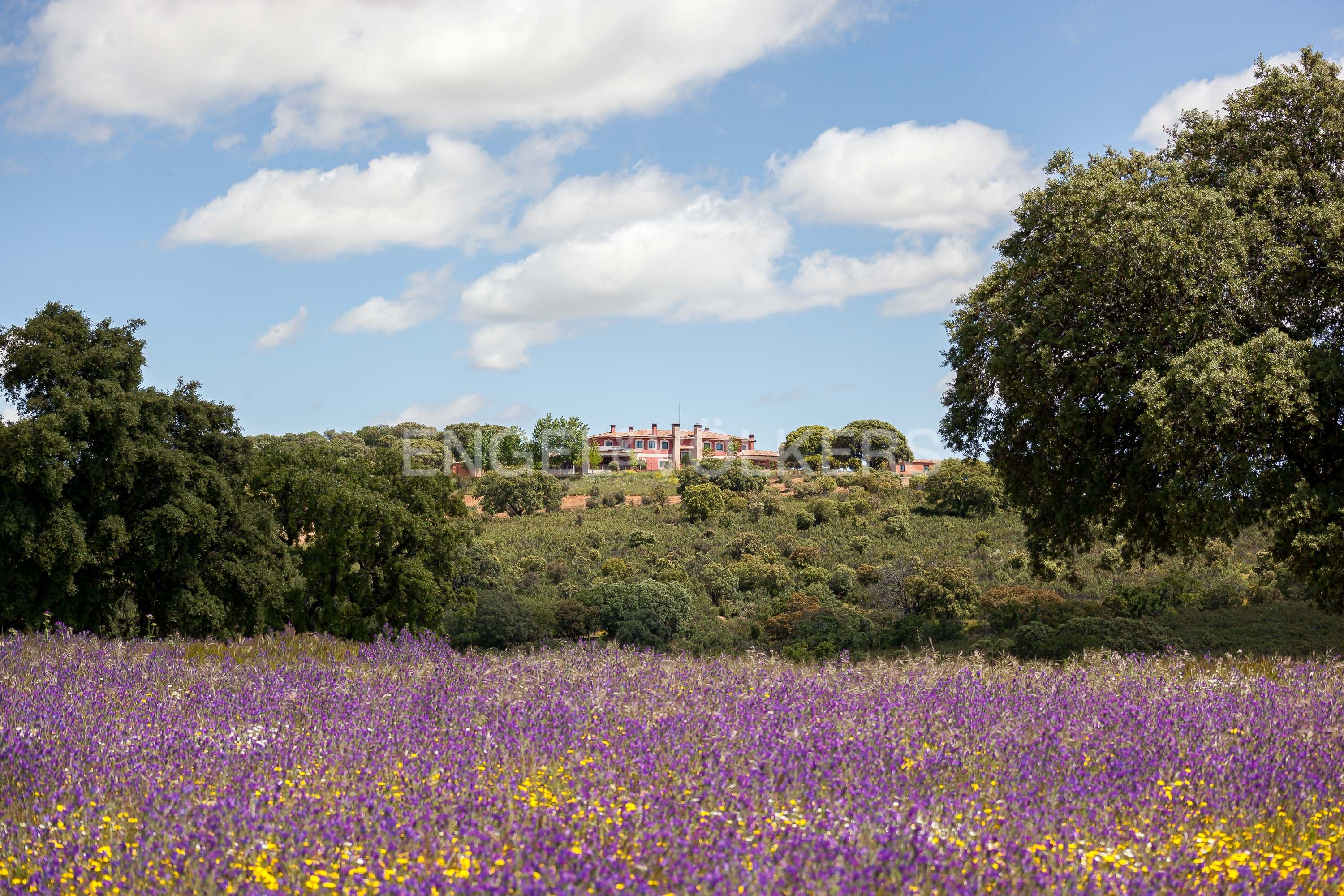 Garden of Country house for sale in El Casar  with Air Conditioner, Heating and Private garden