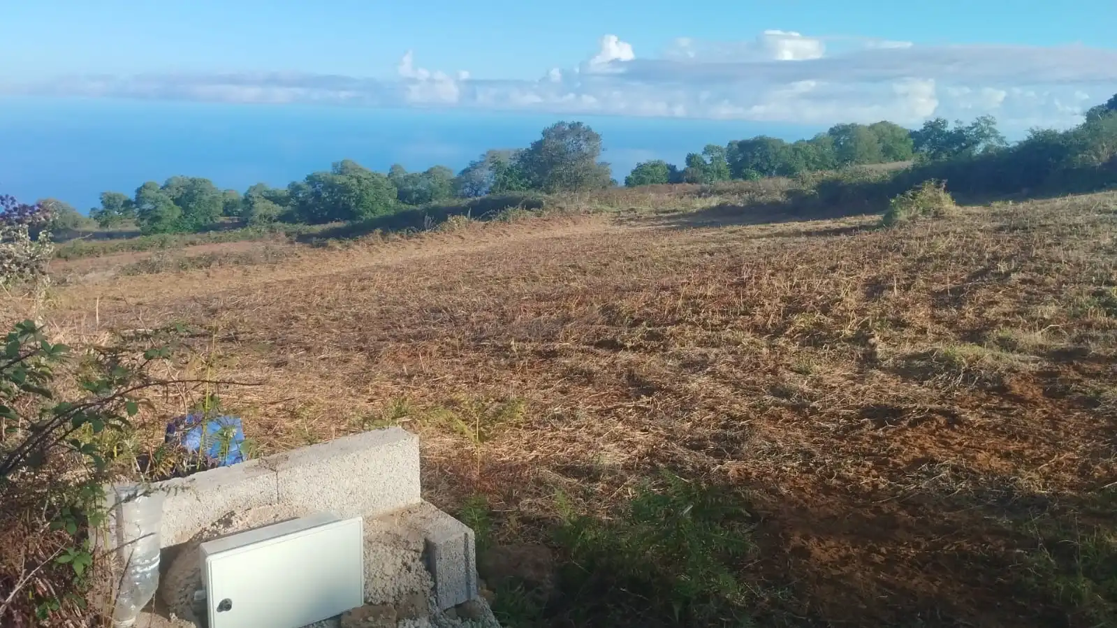 Rural land for sale in El Sauzal, imagen 3