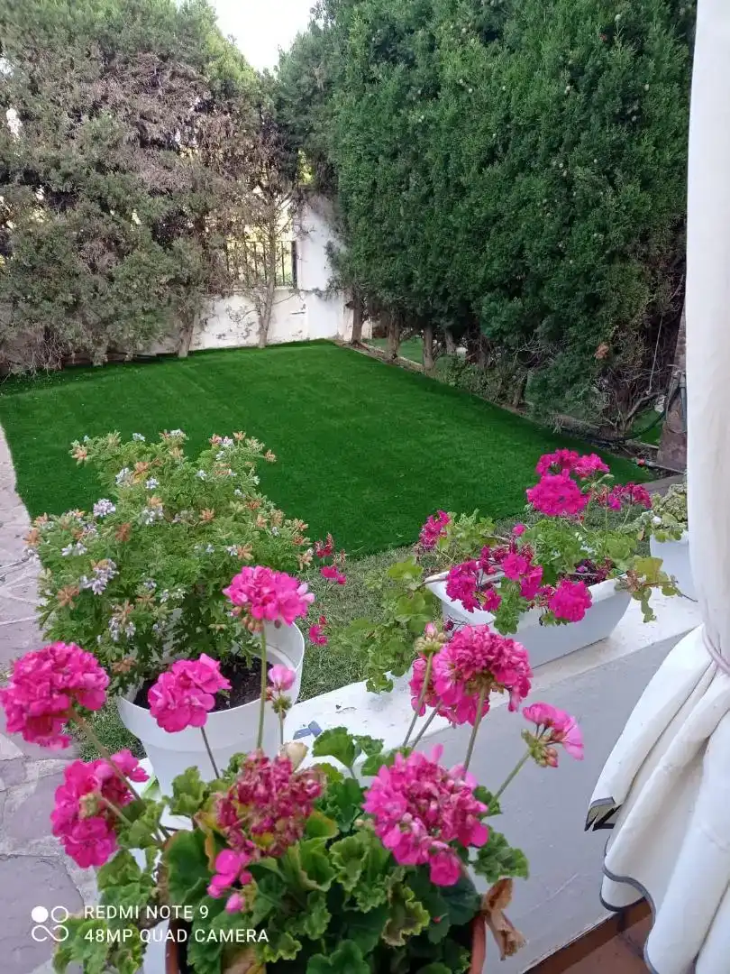 Jardí de Casa adosada de lloguer en Corinto - Almarda
