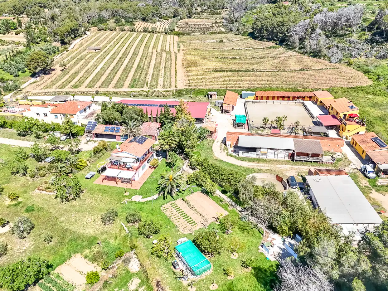 Rural land for sale in Bonastre, imagen 111