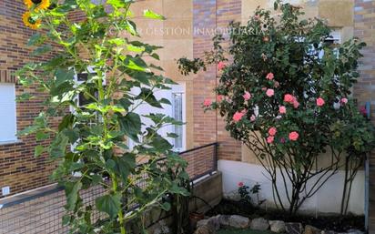 Jardí de Casa adosada en venda en Carrascal de Barregas amb Terrassa, Piscina i Balcó