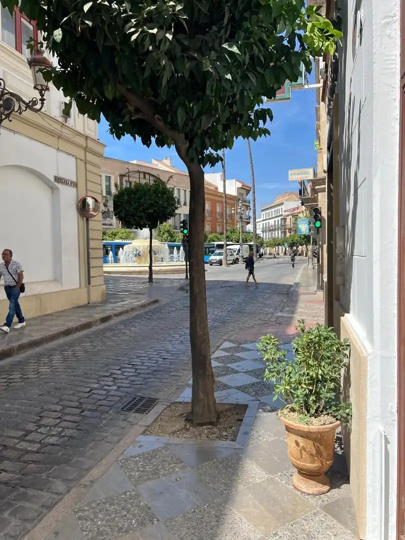 Local comercial en alquiler en Centro, imagen 14