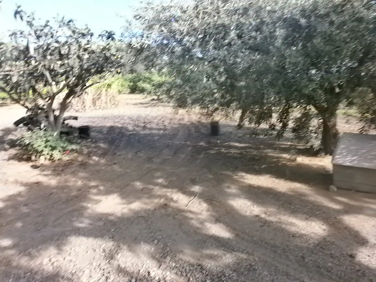 Rural land for sale in Camí del Recreo 25, imagen 11
