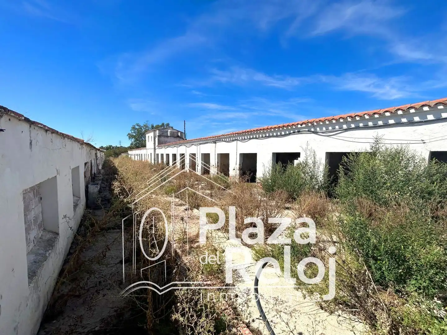 Land for sale in Pepino