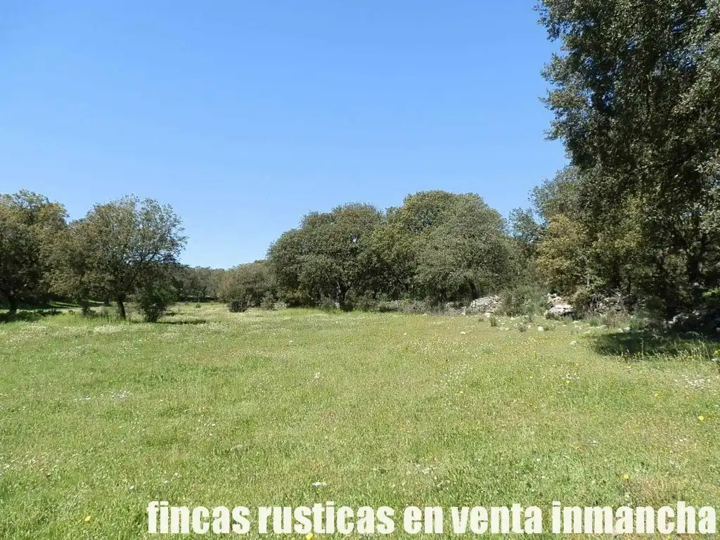 Terreno rustico in vendita a Ciudad Rodrigo, imagen 25