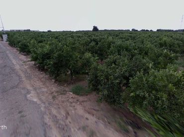 Terrain rustique à vendre à Nules