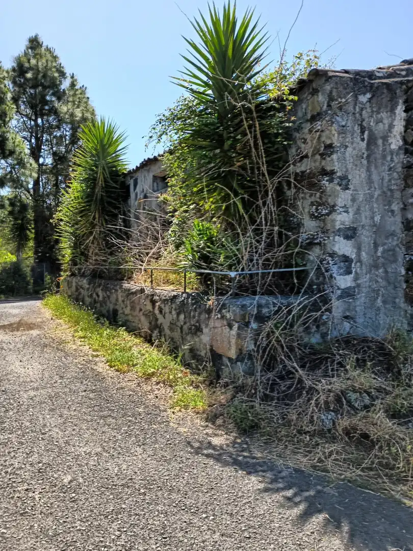 Vista exterior de Finca rústica en venta en Garachico