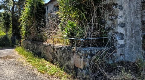 Foto 2 de Finca rústica en venta en Garachico, Santa Cruz de Tenerife