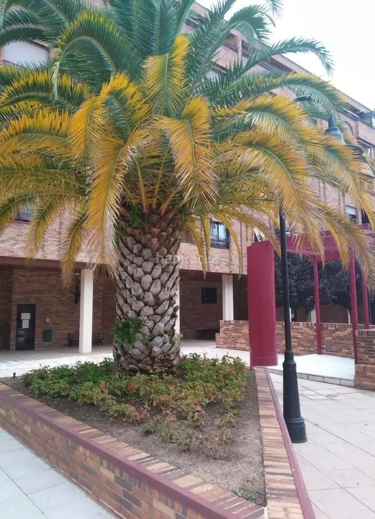 Wohnung mit Pool zur Miete in Avenida de la Paz 19, imagen 26