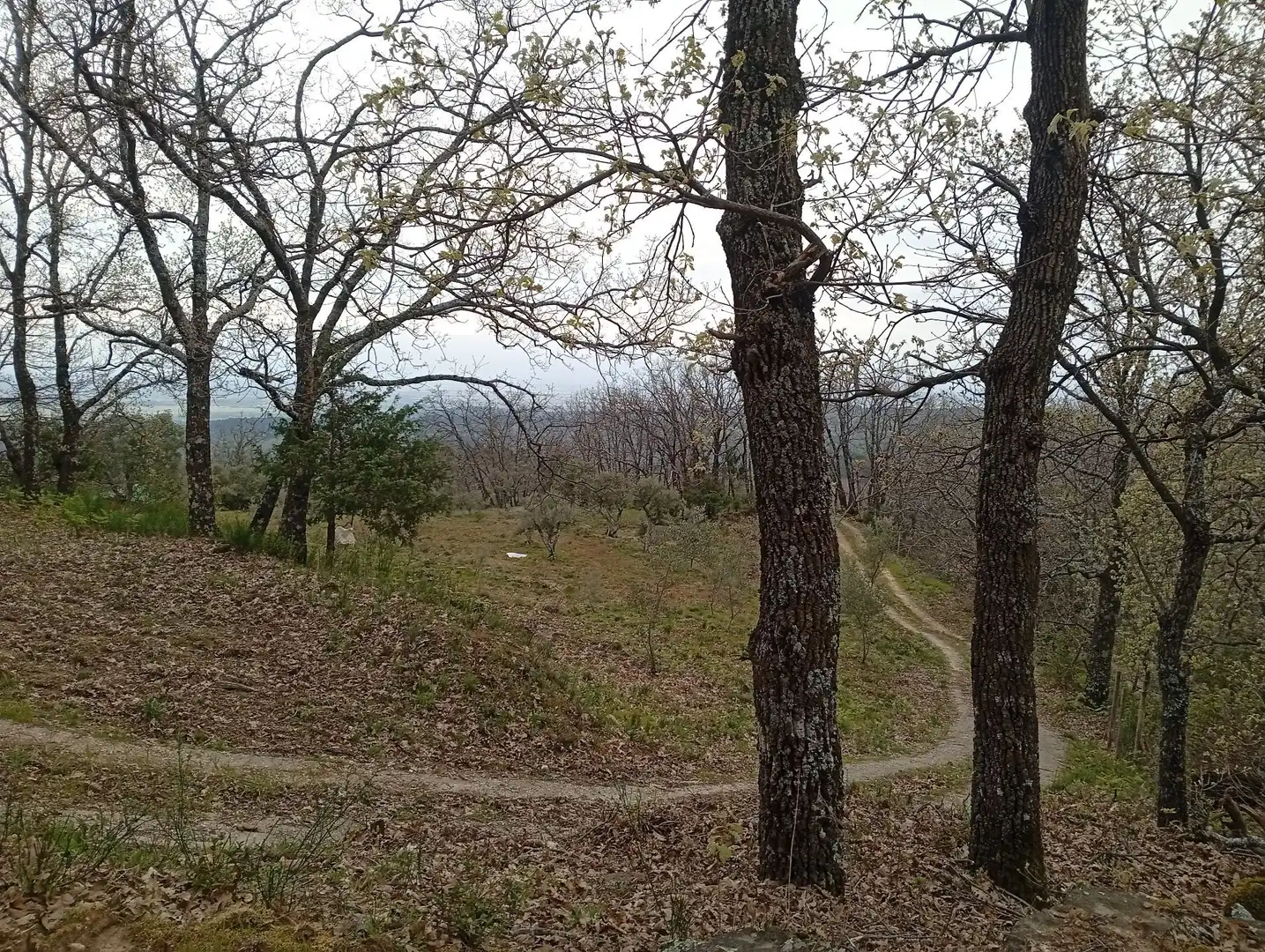 Terreni e lotti in vendita a Valverde de la Vera, imagen 13