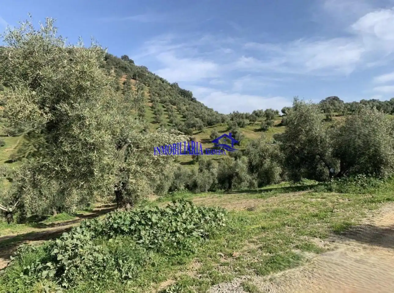 Finca rústica en venda en Adamuz