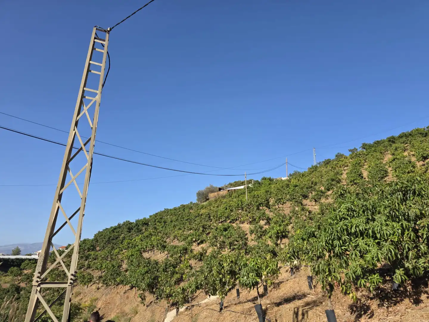 Vista exterior de Terreno en venta en Iznate