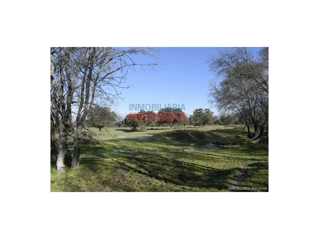 Finca rústica en venta en Las Ventas de San Julián