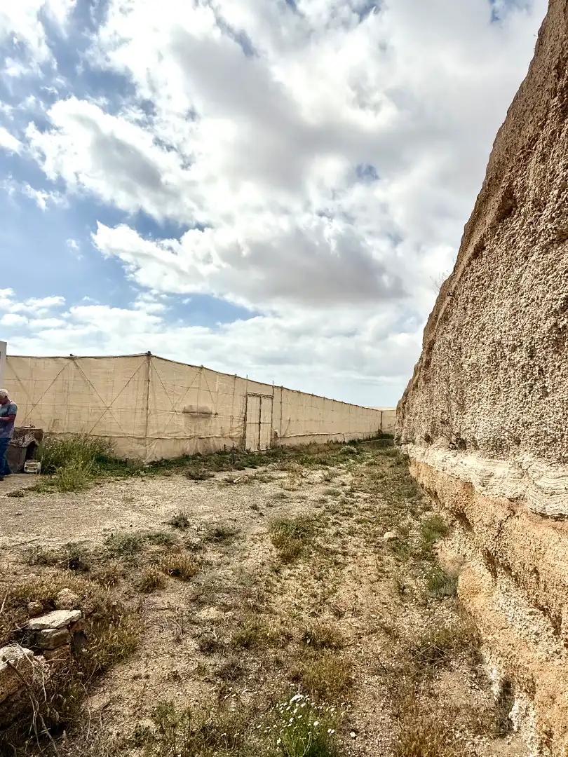 Terreno rustico in vendita a Calle Trece de Septiembre 17, imagen 13