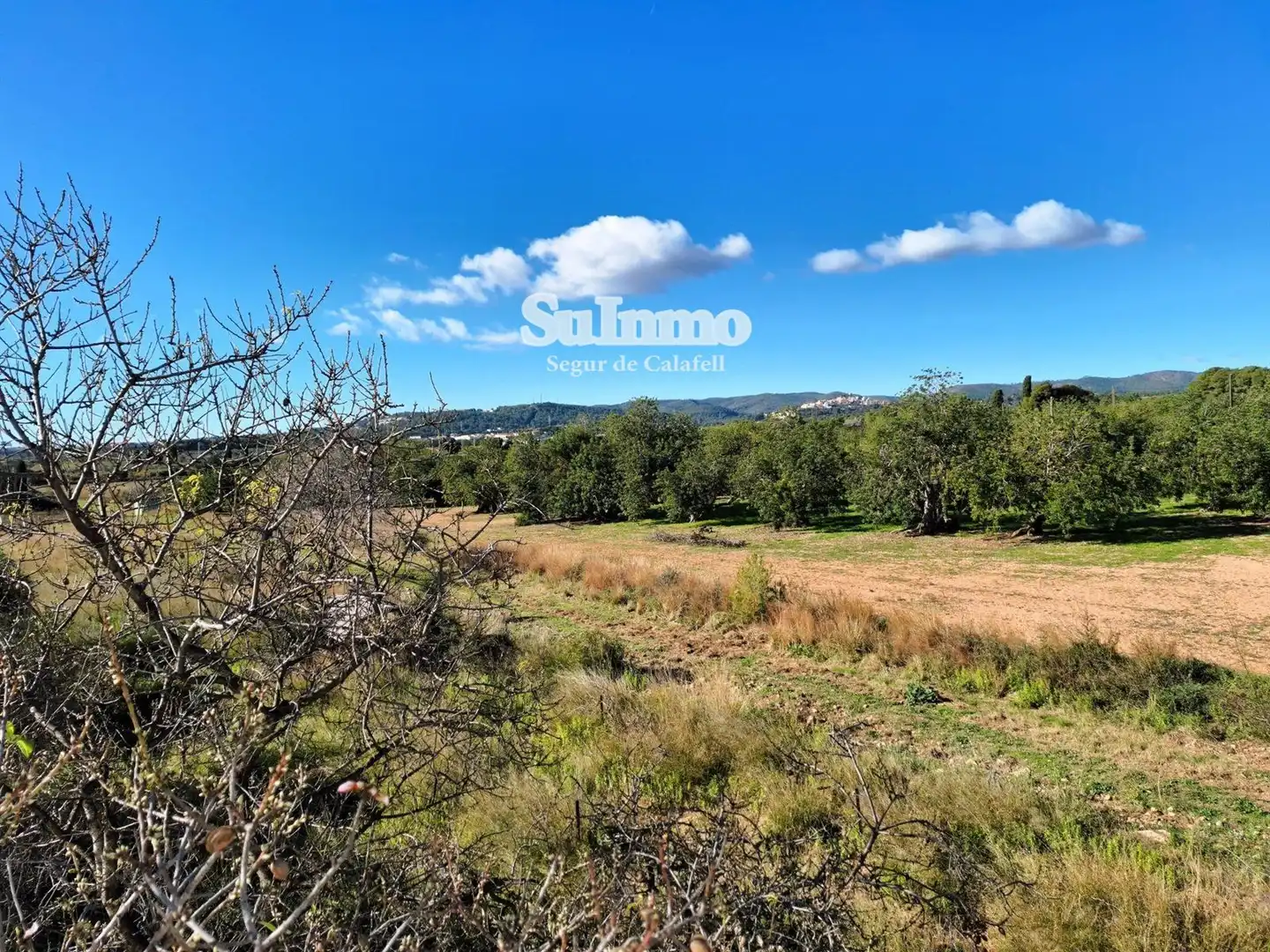 Villa à vendre à Polígono 5, imagen 40