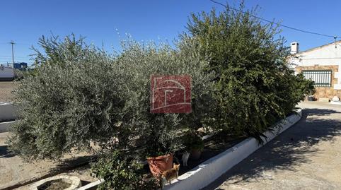 Foto 3 de Finca rústica en venda a Villanueva de la Serena, Badajoz