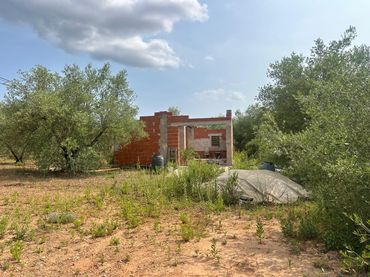 Terreno rustico in vendita a Freginals