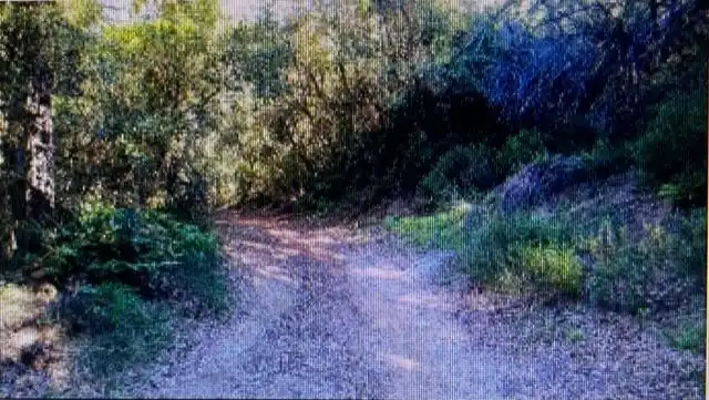 Rural land for sale in Arenys de Munt, imagen 8