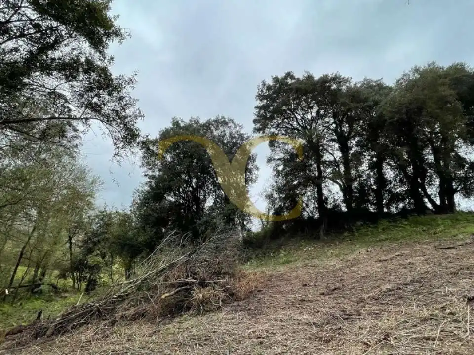 Residencial en venta en Villaviciosa