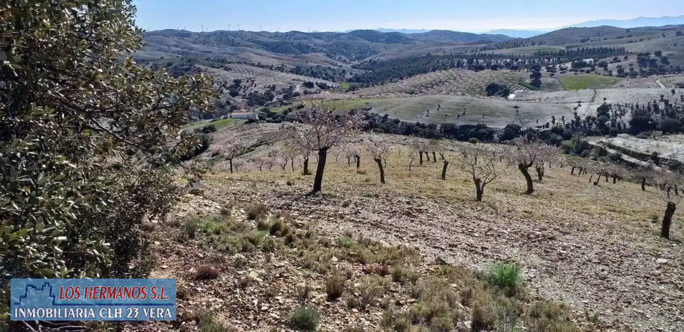 Finca rústica en venta en Vélez-Rubio