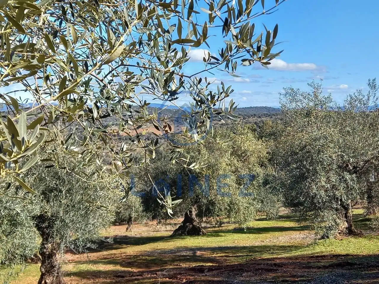 Terreno residenziale in vendita a Villanueva del Rey, imagen 50