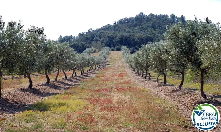 Terrenys i solars en venda a Garriguella, imagen 8