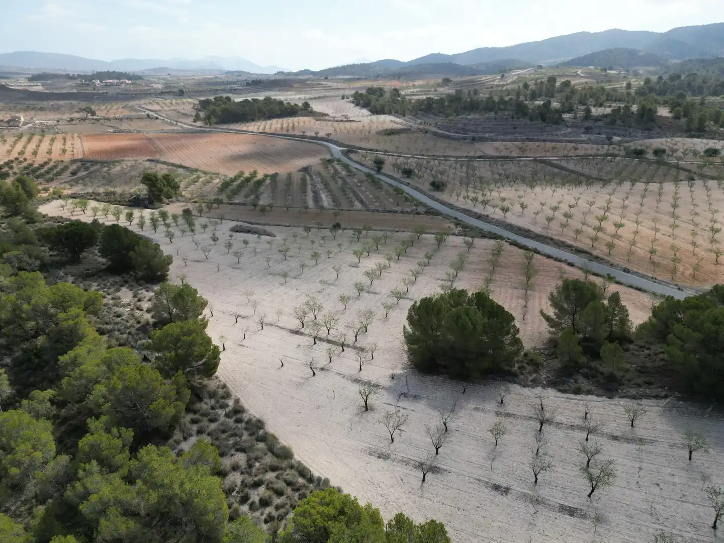 Terreny residencial en venda a Jumilla, imagen 13