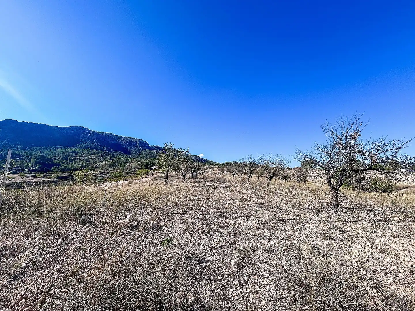 Casa rústica en venda a San Crispín - Huerta Nueva-Estación, imagen 27
