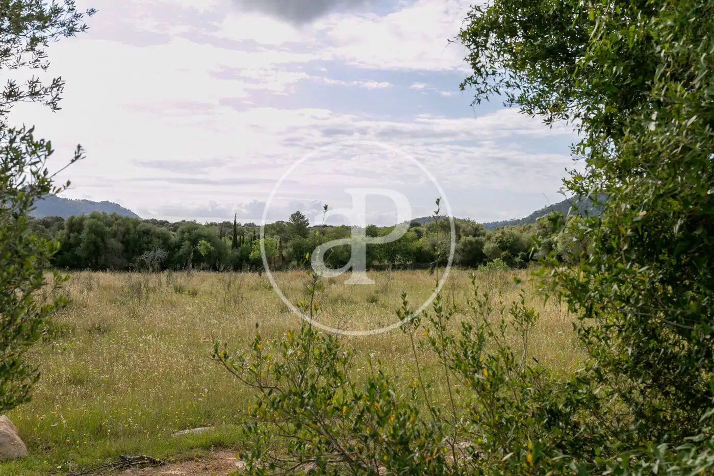 Terreny residencial en venda a Av. Montferrutx, imagen 13