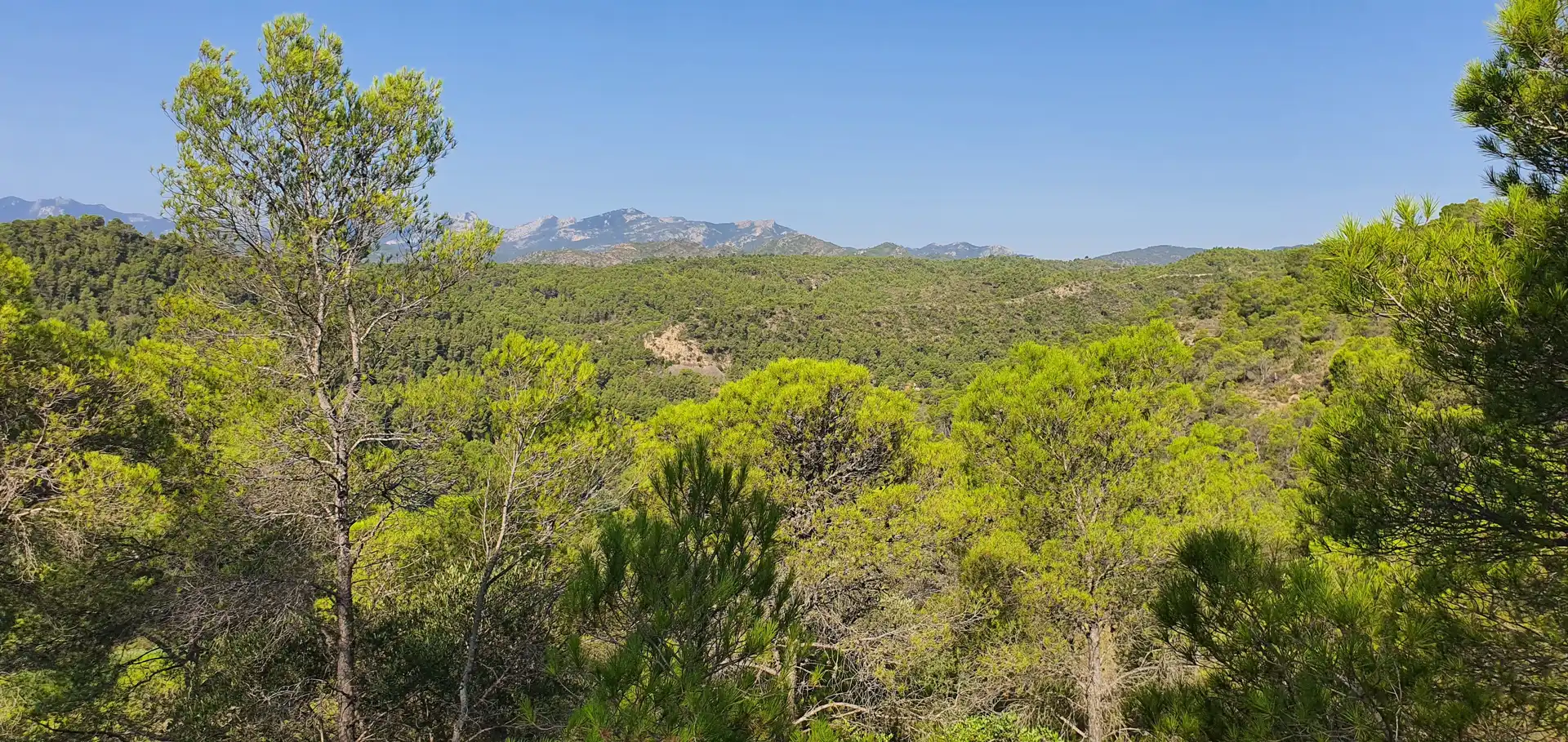 Casa o chalet en venta en Benifallet
