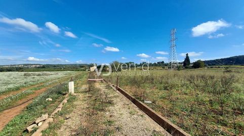 Terreno de una hectárea próximo a Anna, immagine 4