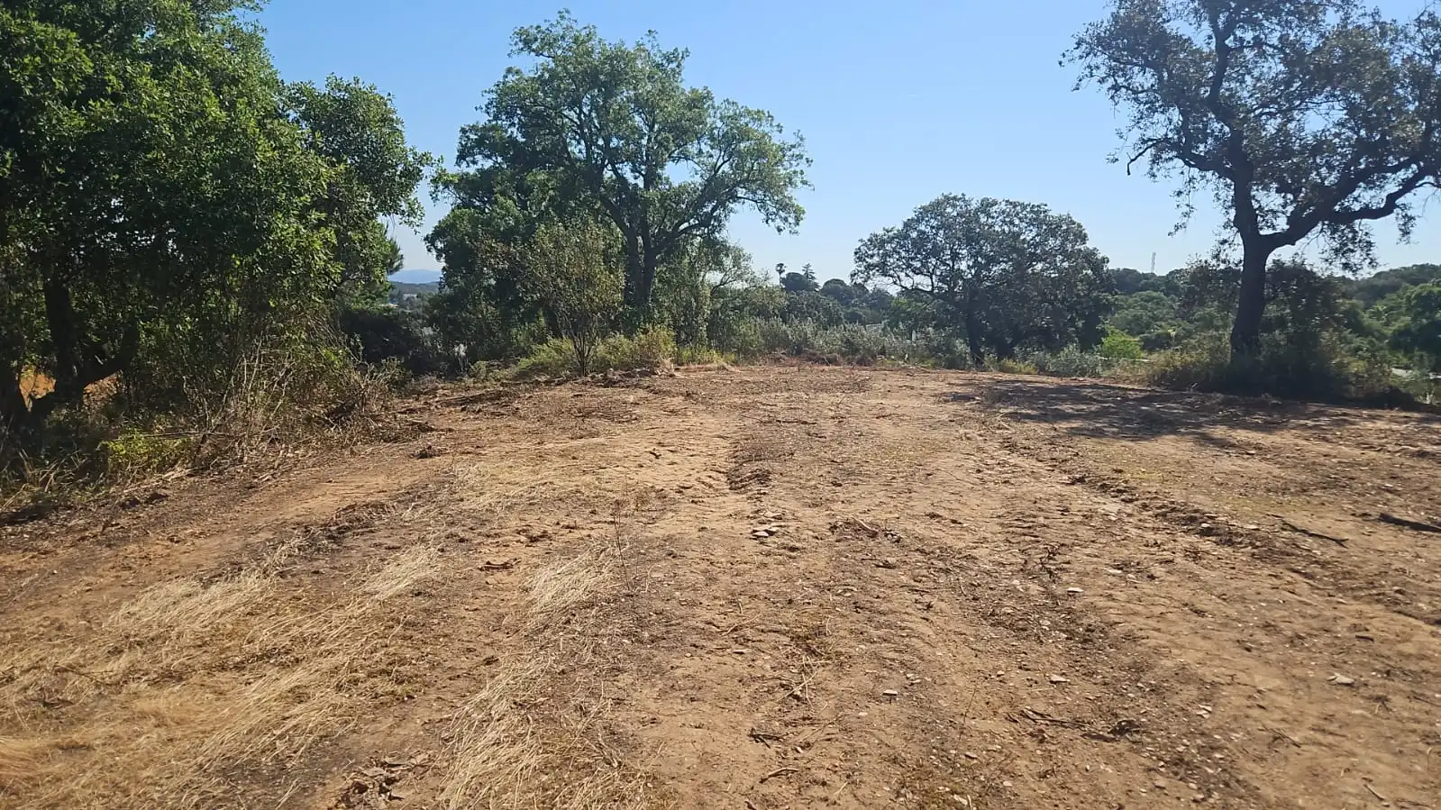 Industrial land for sale in Castilblanco de los Arroyos