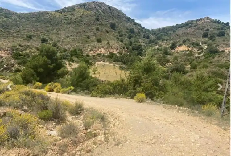 Terrenys i solars en venda a Bédar, imagen 6