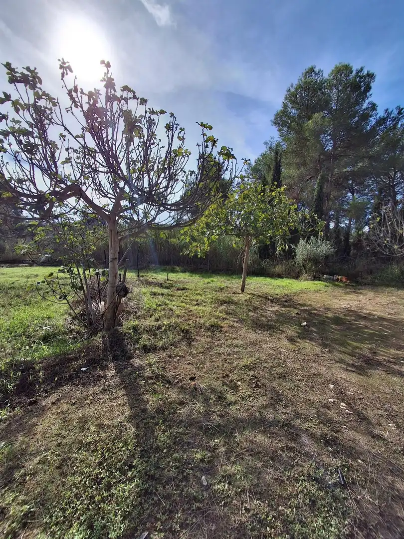 Terrain rustique à vendre à Ginestar, imagen 41