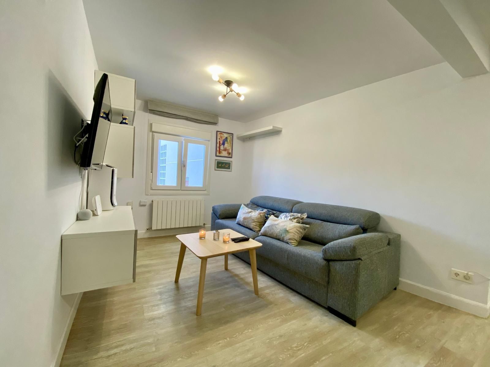 Living room of Flat for sale in Donostia - San Sebastián   with Heating, Storage room and Furnished