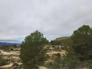 Terreno rustico in vendita a Carrer la Torreta, imagen 2