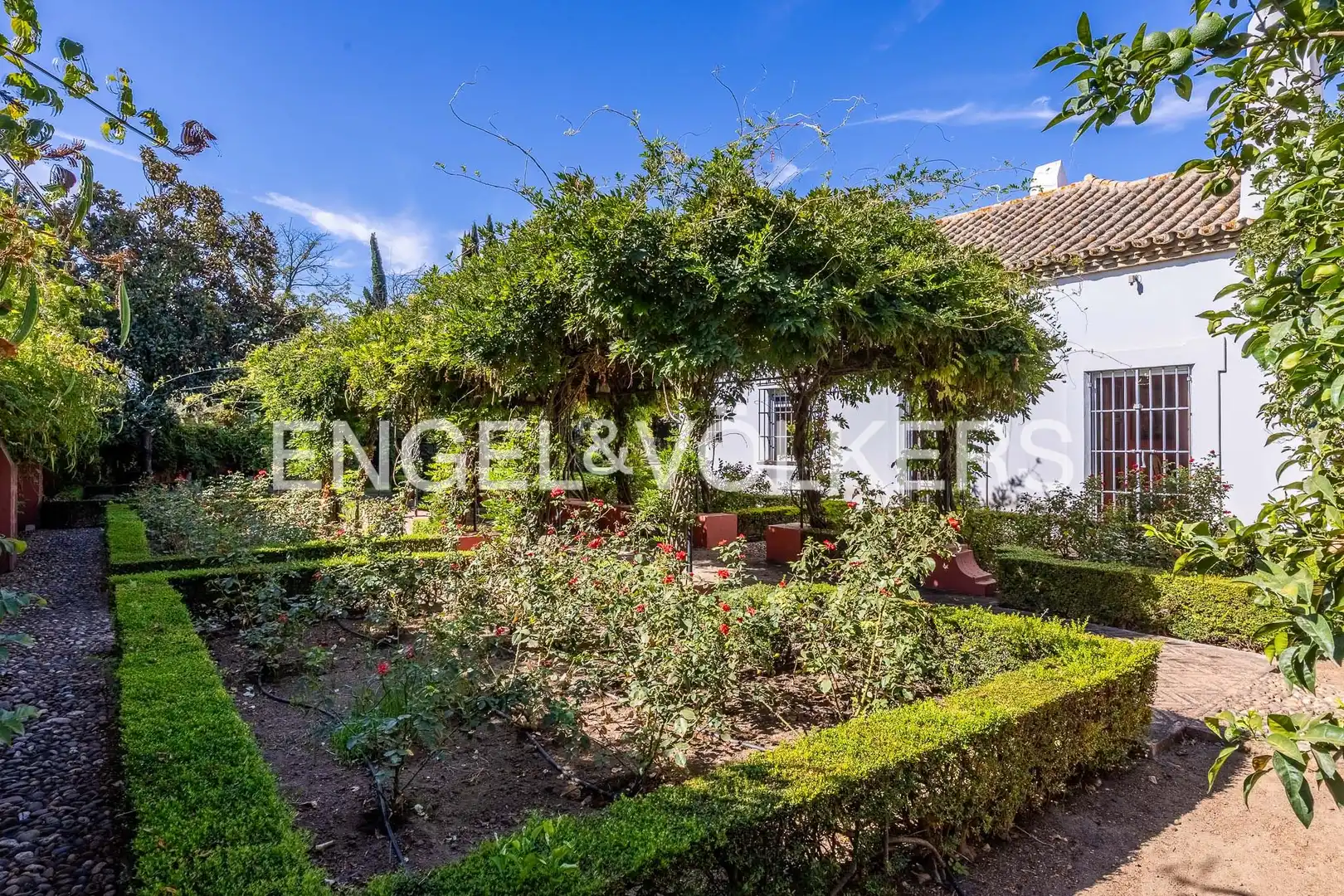 Casa rústica con jardín en venta en Casco Antiguo, imagen 41