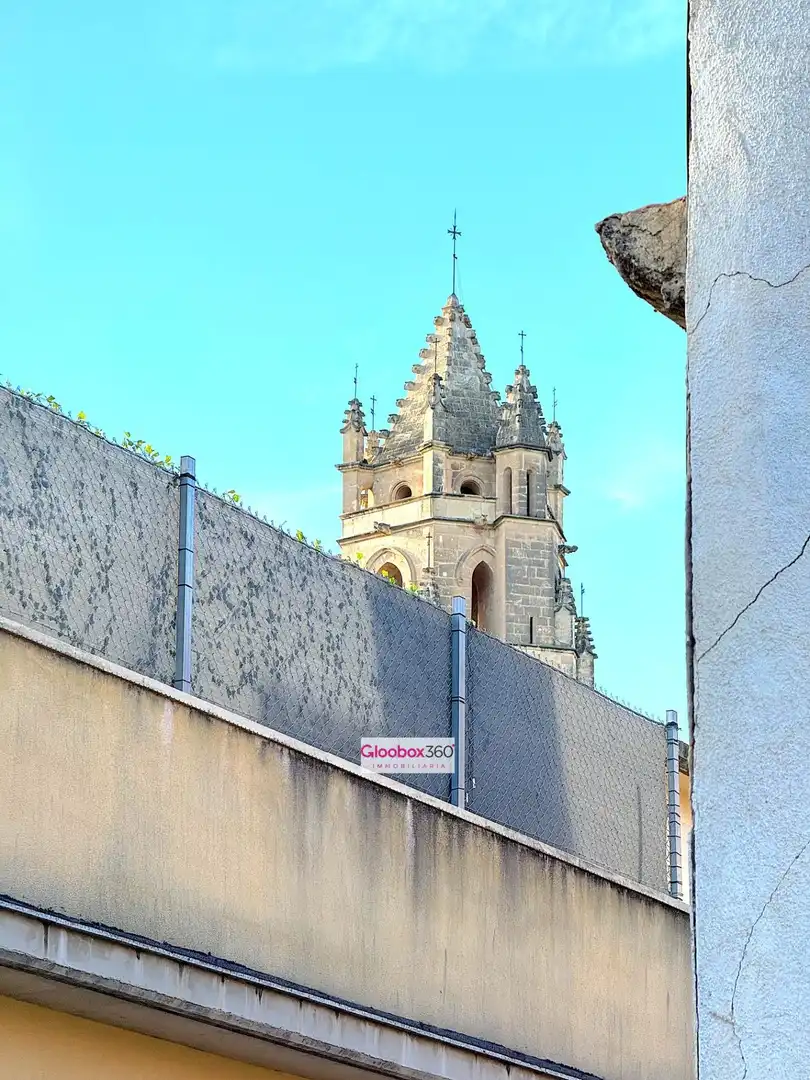 Pis amb terrassa en venda a RASETA DE SALES, imagen 43